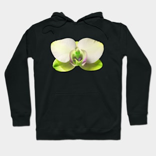 Yellow Orchid Hoodie